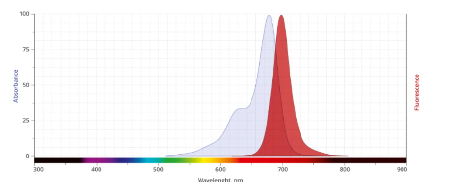 1693990058136862.png 圖片1.png