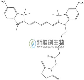 1711444523384030.jpg 水溶CY5-NHS.jpg