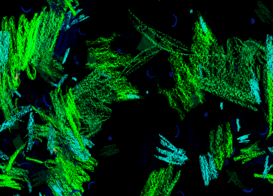 1711704521902794.png 2.png