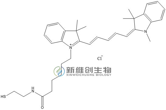 1718343238549520.jpg CY5-SH.jpg