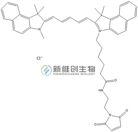 1727165949530529.jpg CY5.5-MAL水印.jpg